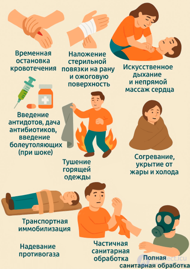 The Importance of First Aid and the Rules for Providing It. Medical Triage