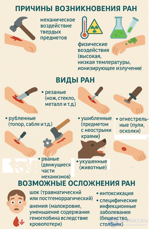 The Concept of a Wound. Types of Bleeding. The Concept of Asepsis and Antisepsis
