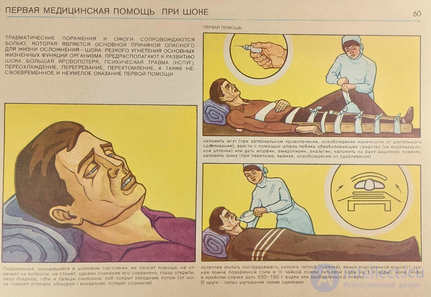First Aid for Fractures and Dislocations. First Aid in Shock. Transporting Casualties