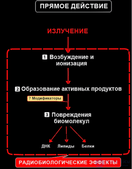 First Aid for Radiation Injuries