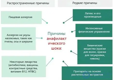 Fundamentals of Pharmacology and the Use of Medicinal Products