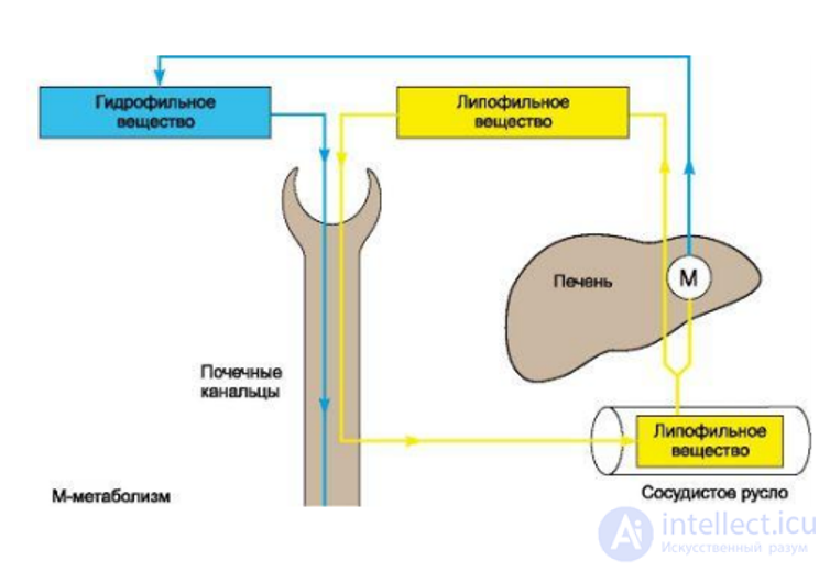 Fundamentals of Pharmacology and the Use of Medicinal Products