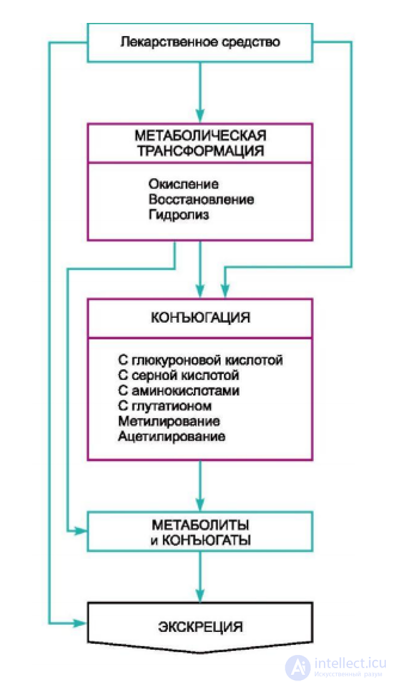 Fundamentals of Pharmacology and the Use of Medicinal Products