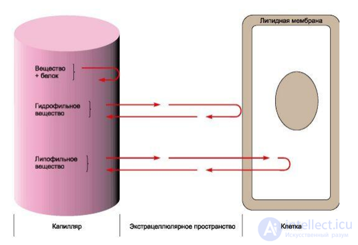 Fundamentals of Pharmacology and the Use of Medicinal Products