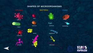 Fundamentals of design in material and game architecture (principles, requirements, stages)