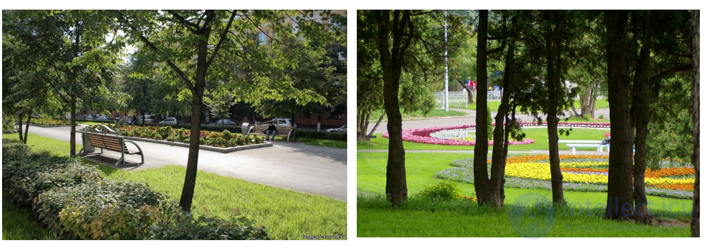 Landscape Design Styles, Elements, Methods and Principles in Architecture and Video Games