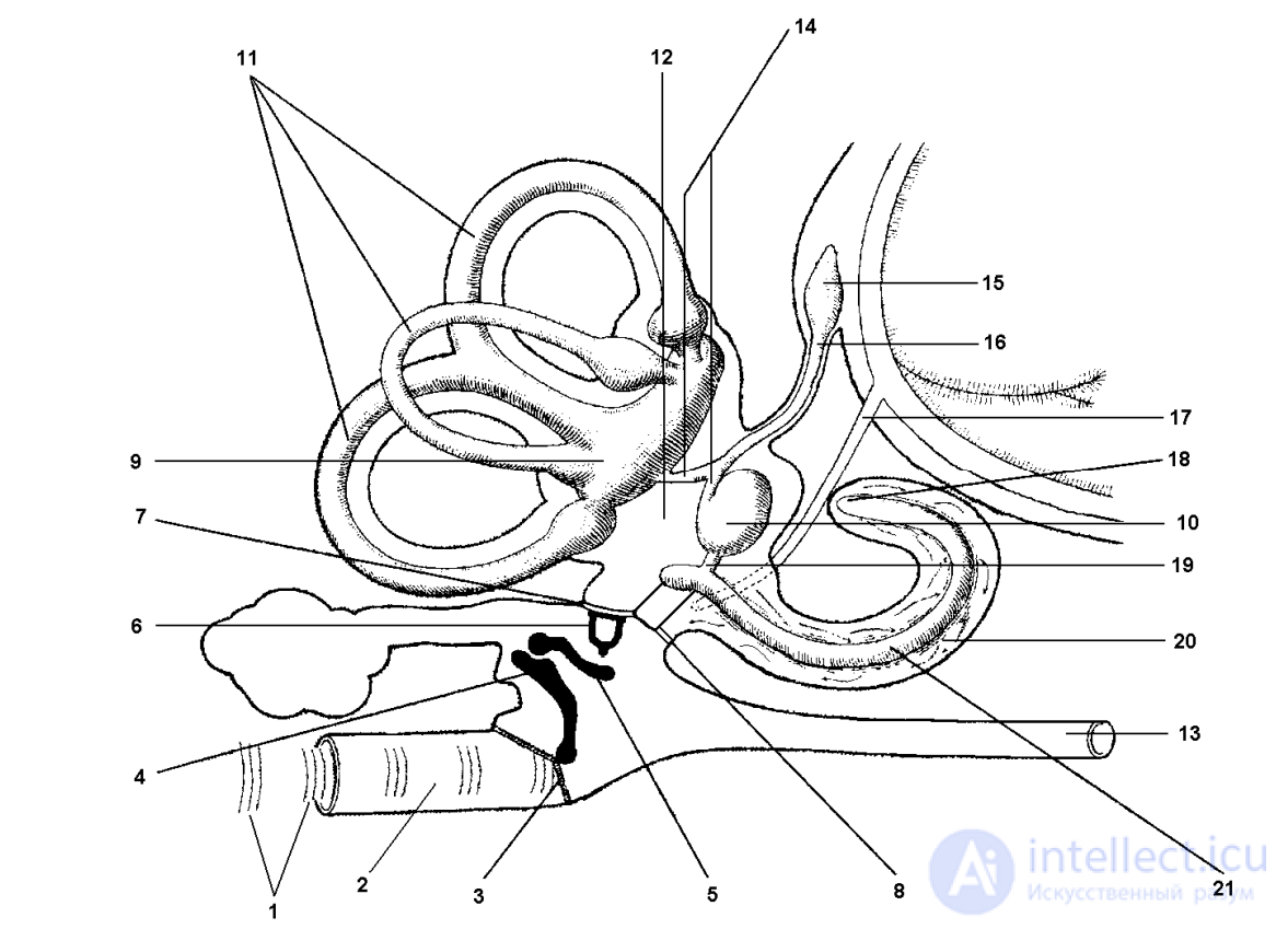 2 SPECIFICS AND CONDITIONS OF FLIGHT ACTIVITY 2.1. THE ROLE OF ANALYZER SYSTEMS IN THE PILOTING PROCESS