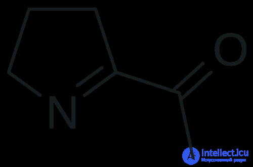 The Maillard Reaction: Flavor, Color, and Aroma in Cooking