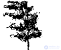 Geostrophic wind, Wind motion in curvilinear isobars, Motion in the presence of friction, Circular isobars, Baric law of Bayes-Ballo