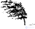 Geostrophic wind, Wind motion in curvilinear isobars, Motion in the presence of friction, Circular isobars, Baric law of Bayes-Ballo