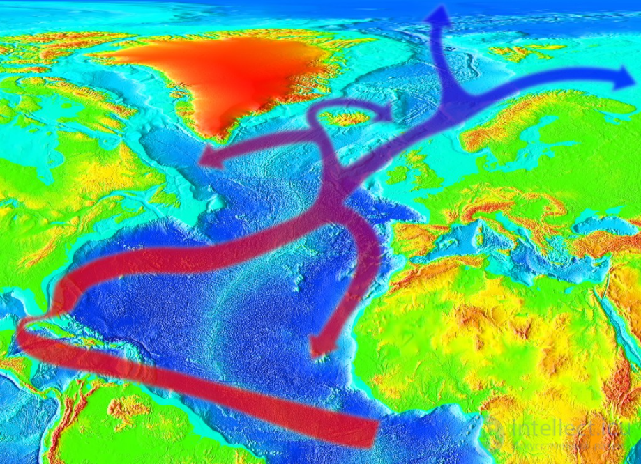 Gulf Stream: Structure, Dynamics, and Climatic Significance