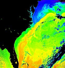 Gulf Stream: Structure, Dynamics, and Climatic Significance