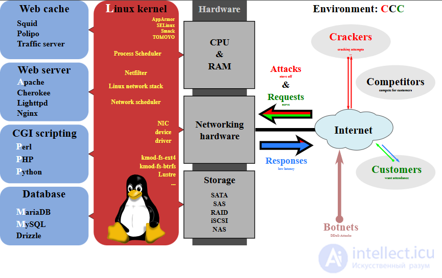 PHP: History and Fundamentals of the Server-Side Language