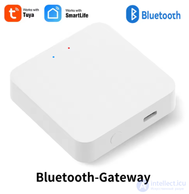 Tuya Smart Life: Types of Gateways and Internet of Things (IoT) Devices