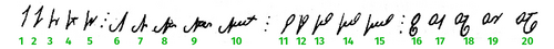 Numerals in Different Cultures, Numeral Systems and Kinds of Numbers
