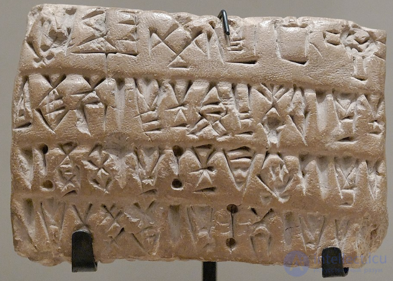 Numerals in Different Cultures, Numeral Systems and Kinds of Numbers