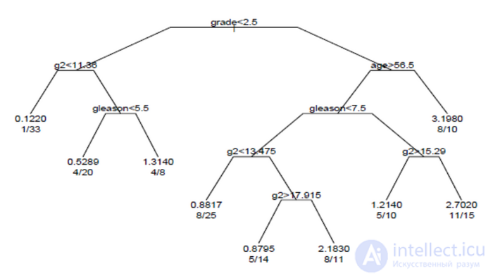 Survival Analysis and Censoring in Statistics