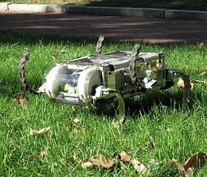 Bio-Inspired Robotics, Nature-Like Robotics