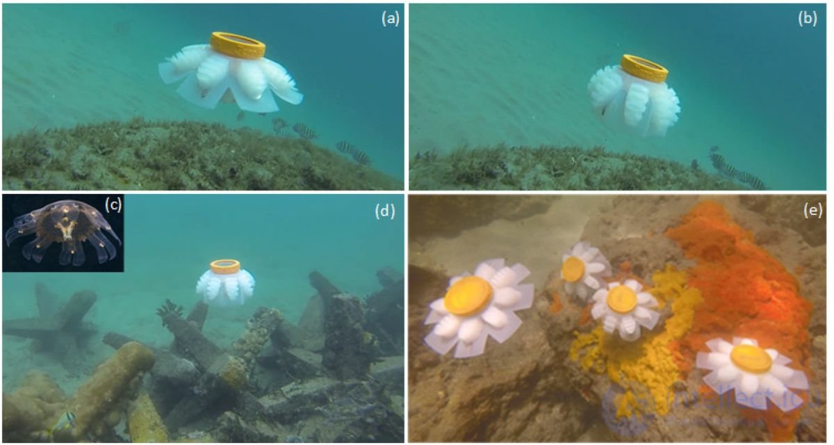 Bio-Inspired Robotics, Nature-Like Robotics