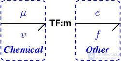 Bond Graph