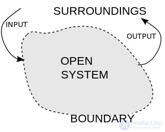 The Black Box in Systems Theory and Modeling