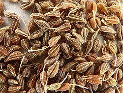 Flavoring Additives: Spices and Seasonings in Food Chemistry