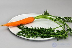 Food Colors in Food Chemistry