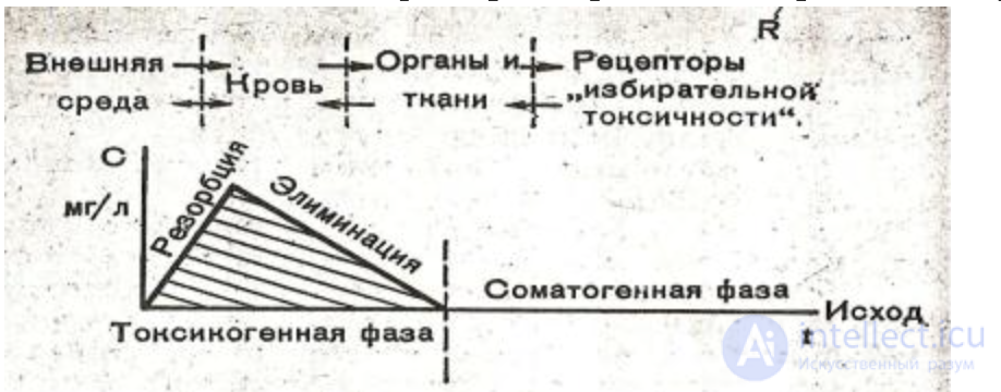 2.1.+ Absorption, Biotransformation and Excretion of Harmful Substances in the Biological Organism