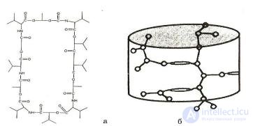 2.1.+ Absorption, Biotransformation and Excretion of Harmful Substances in the Biological Organism