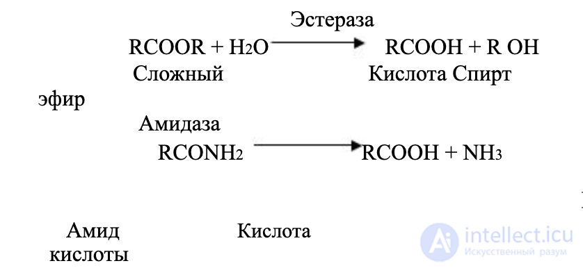 2.1.+ Absorption, Biotransformation and Excretion of Harmful Substances in the Biological Organism