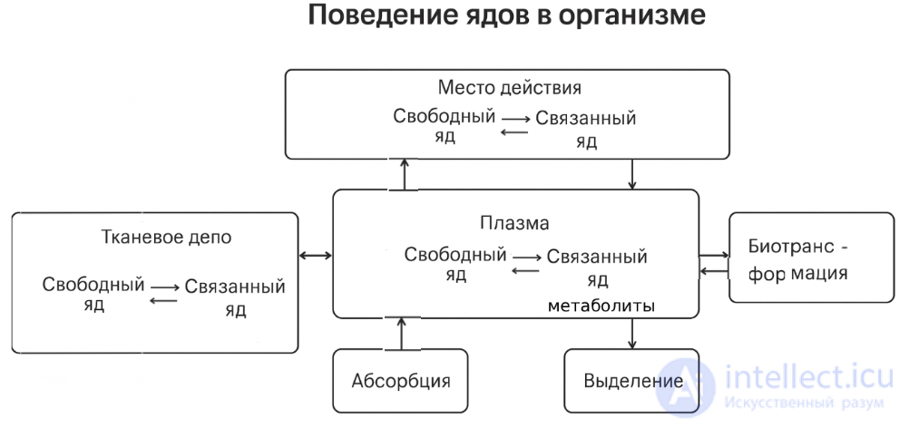 2.1.+ Absorption, Biotransformation and Excretion of Harmful Substances in the Biological Organism