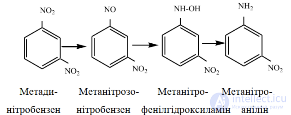 1.6. Metabolism of Foreign Compounds