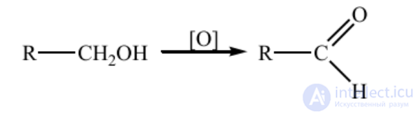 1.6. Metabolism of Foreign Compounds