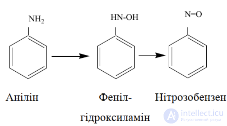 1.6. Metabolism of Foreign Compounds