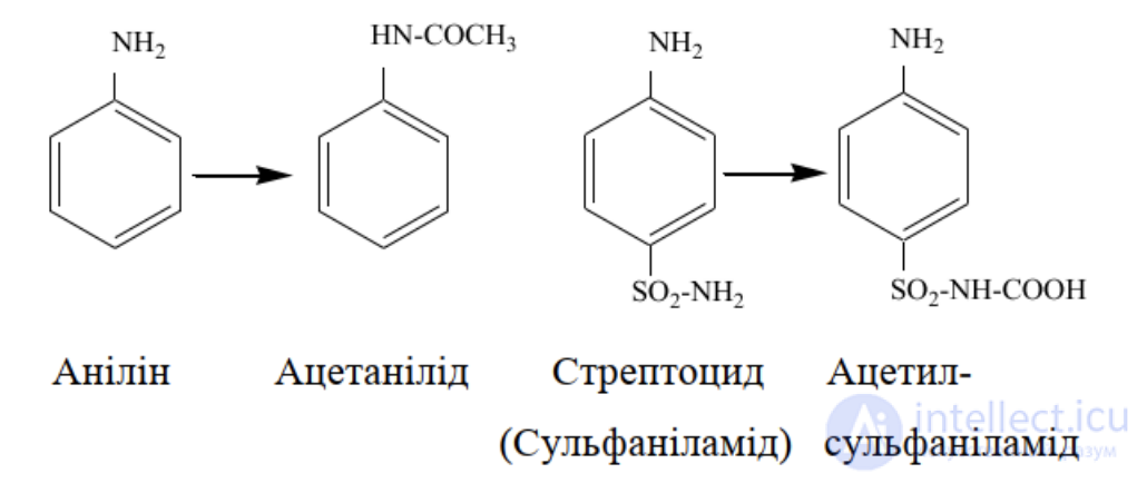 1.7. Conjugation Processes