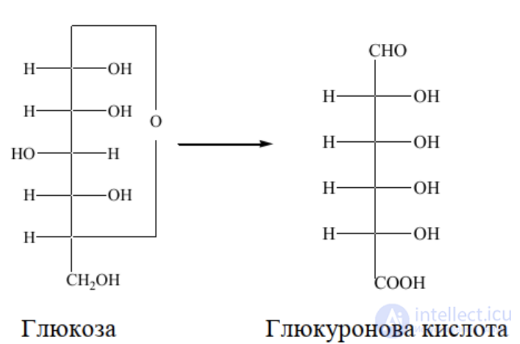 1.7. Conjugation Processes