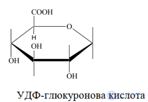 1.7. Conjugation Processes