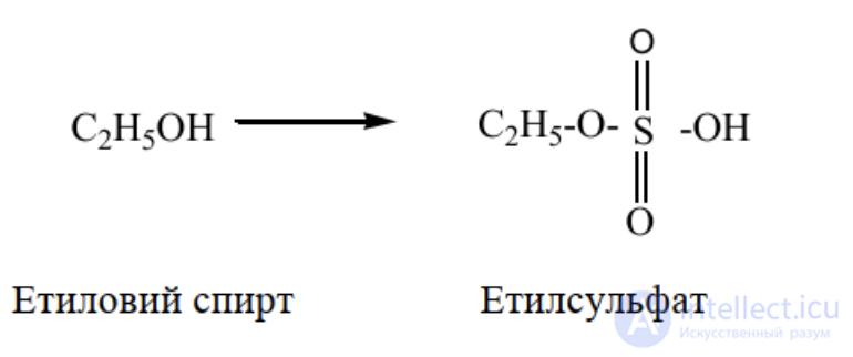 1.7. Conjugation Processes