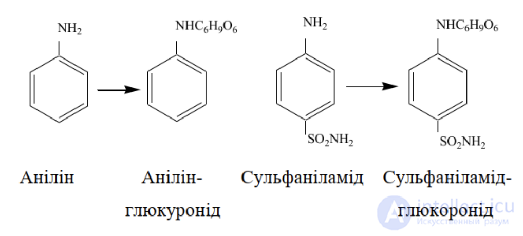 1.7. Conjugation Processes
