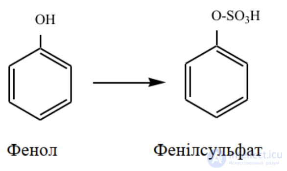 1.7. Conjugation Processes