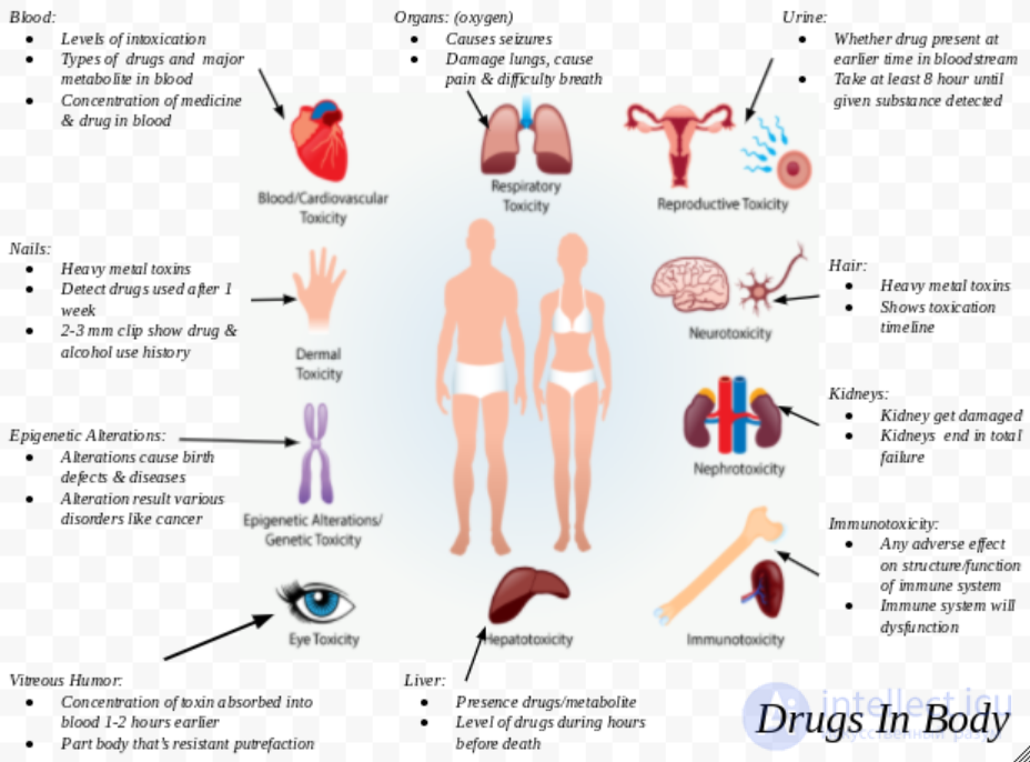 Introduction to Forensic Toxicology