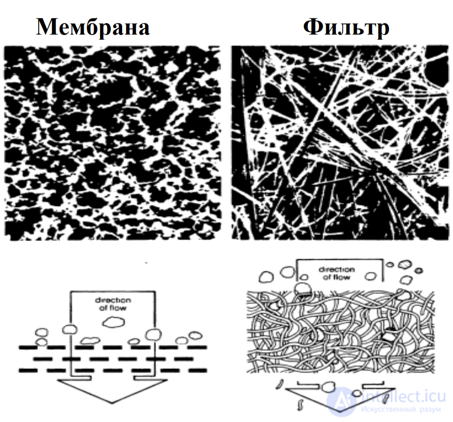 Purification of Colloidal Systems