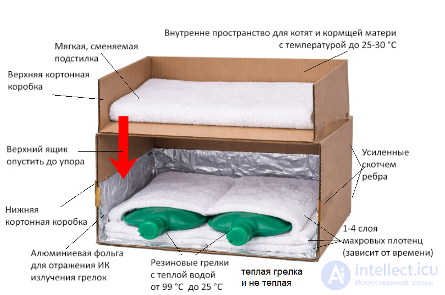 Elkhan Box: A Warm Nest for Newborn Kittens That Keeps a Constant Temperature in Winter