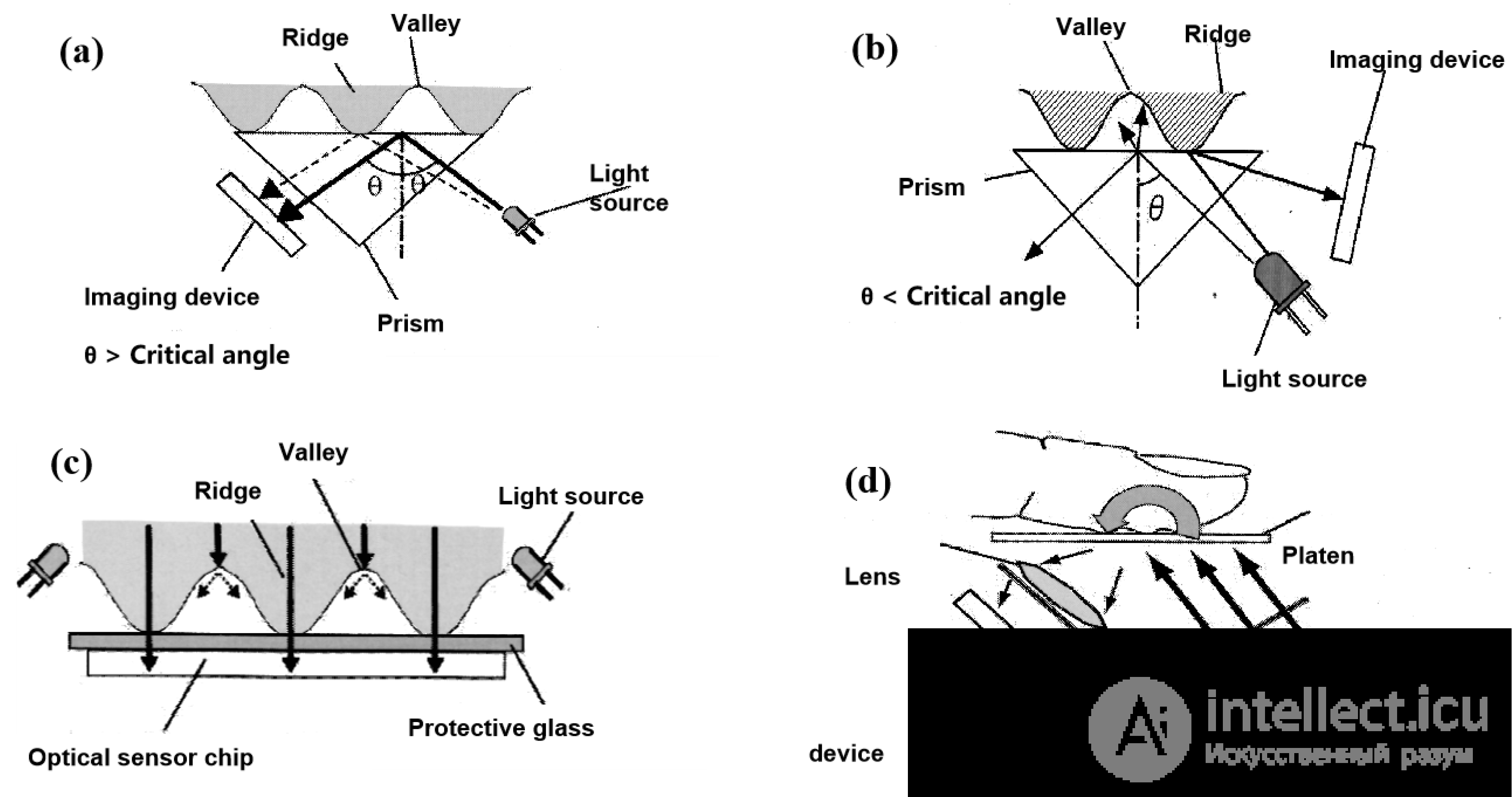 Fingerprint Sensors: Types, Design and Operating Principles