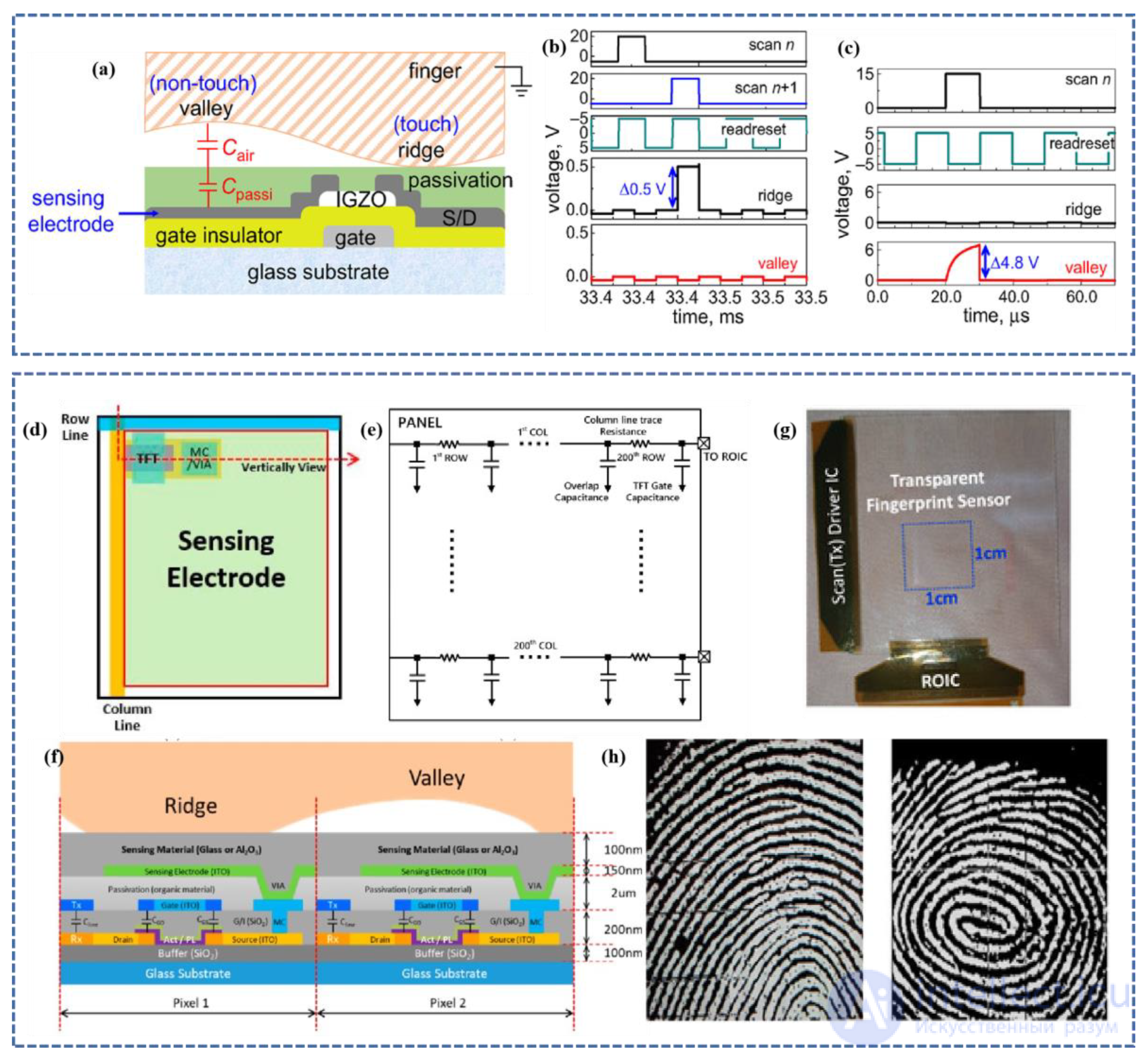 Fingerprint Sensors: Types, Design and Operating Principles