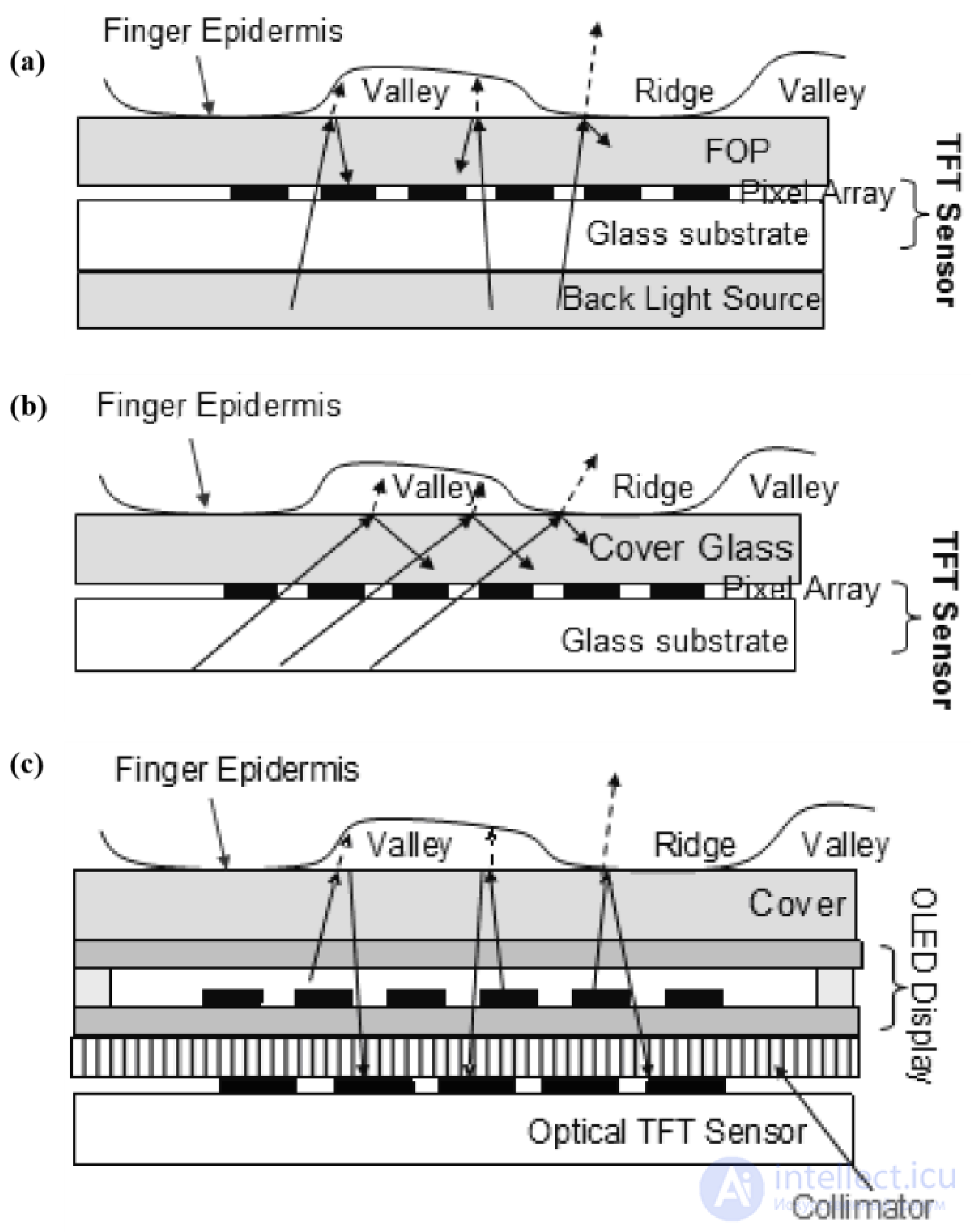 Fingerprint Sensors: Types, Design and Operating Principles