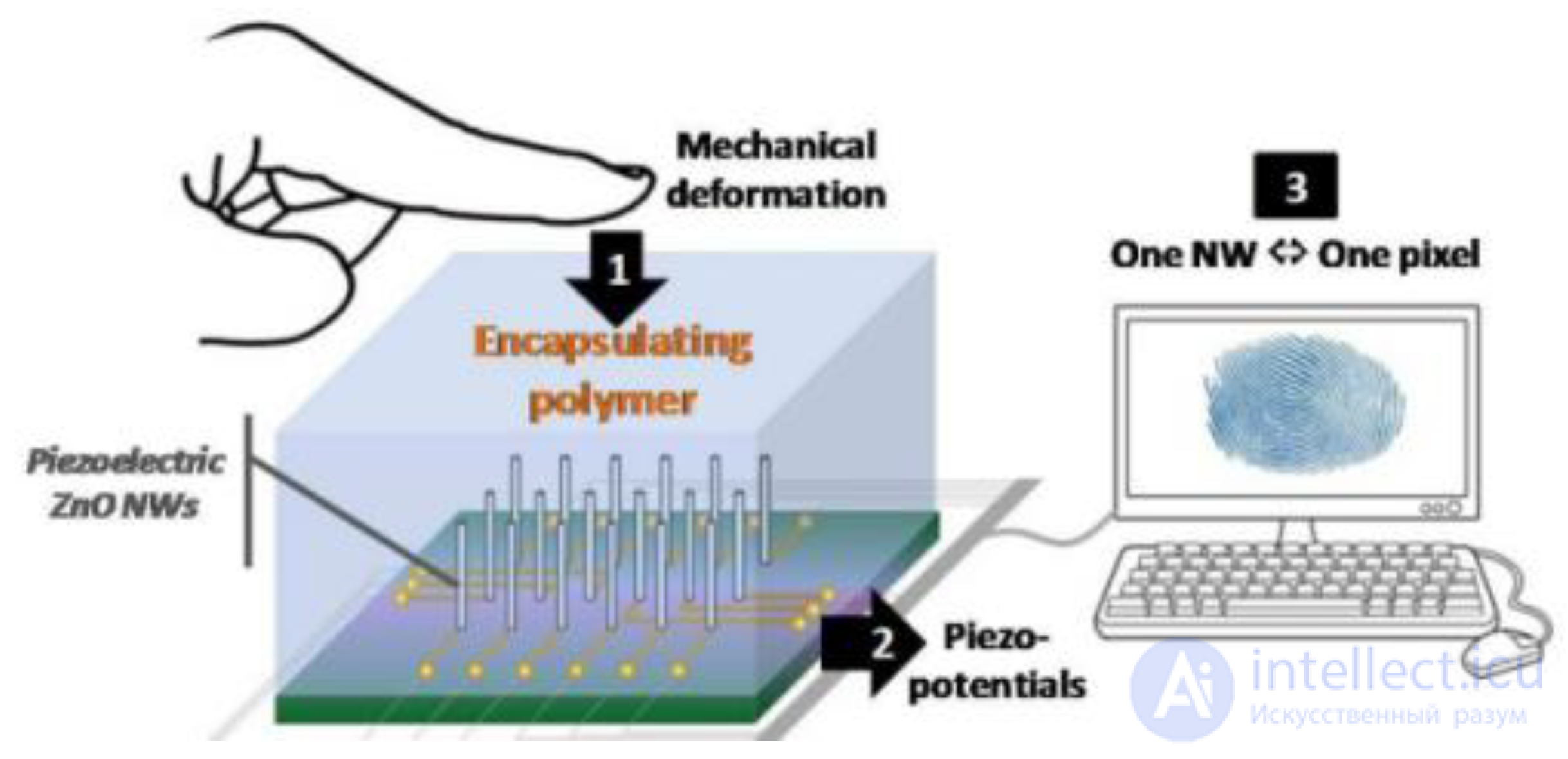 Fingerprint Sensors: Types, Design and Operating Principles