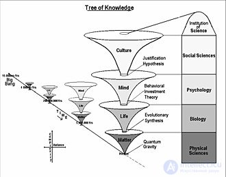 Metascience: Essence and Applications