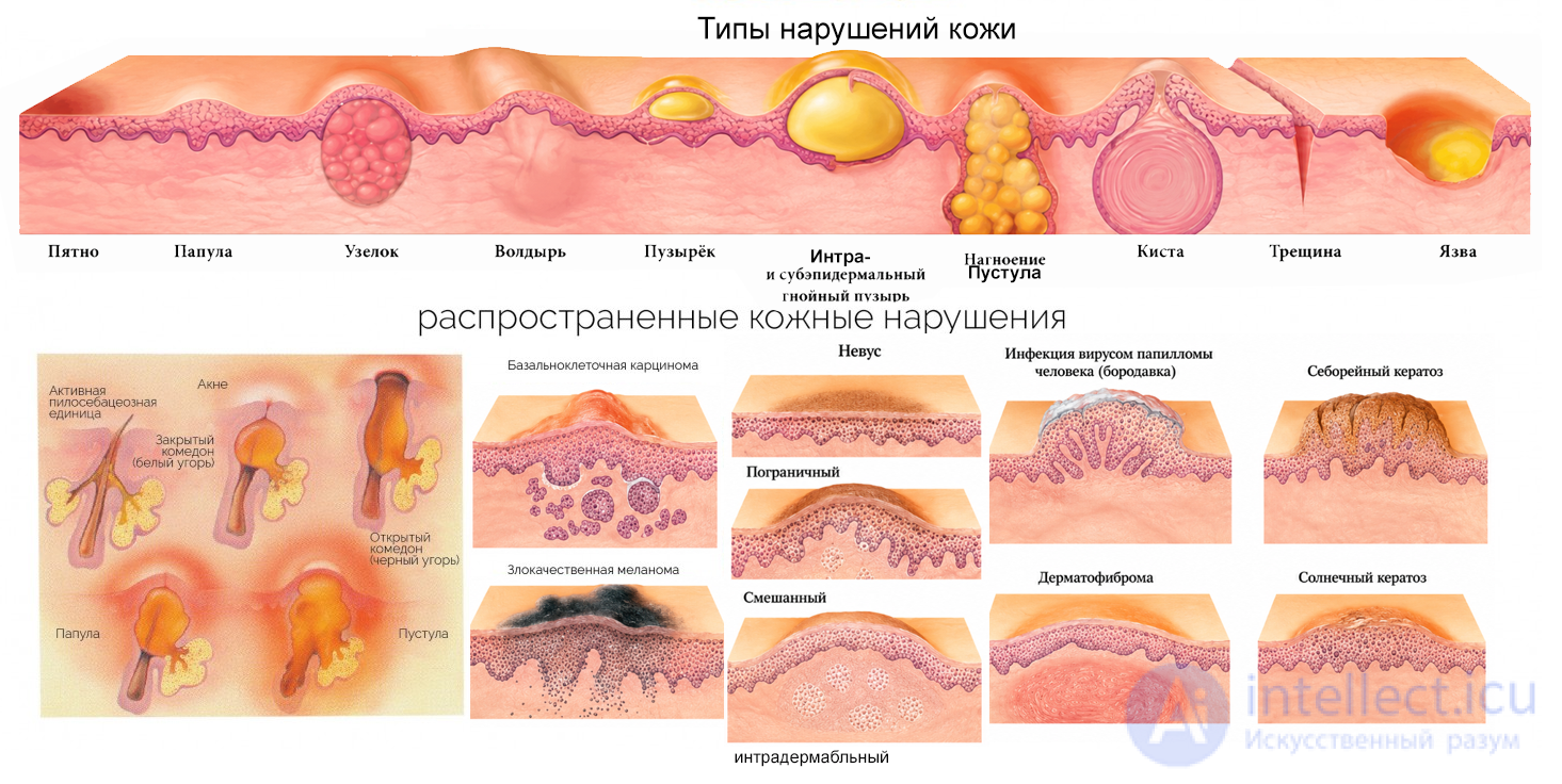 Age-Related Features of the Skin and Skin Hygiene