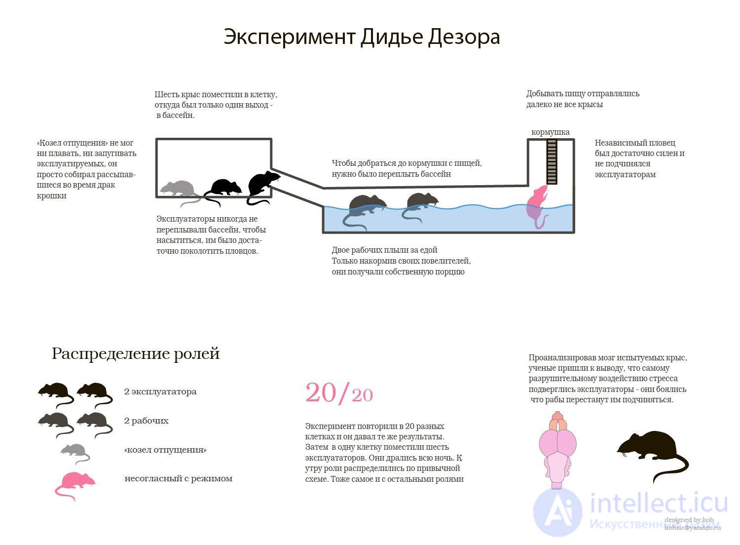 13. SOCIAL STRATIFICATION .SOCIAL STRUCTURE OF SOCIETIES